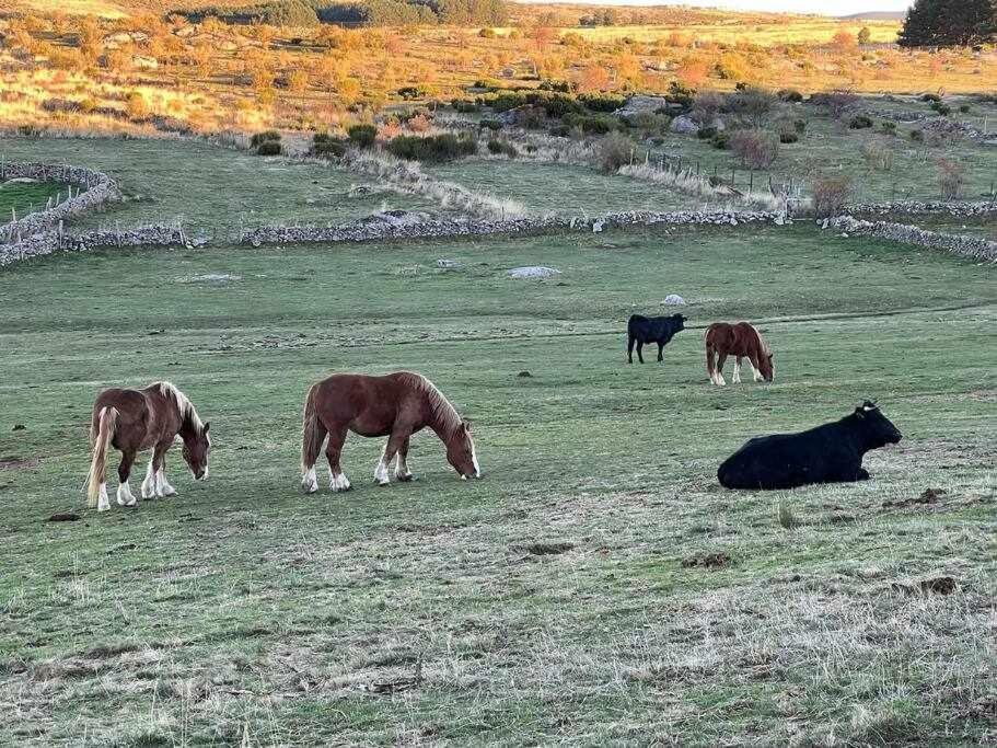 El Sobrao De Gredos Navarredonda de Gredos